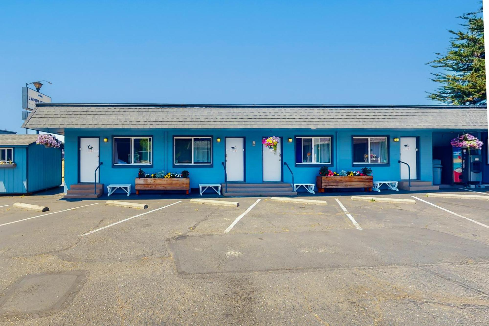 Lamplighter Inn - Tropical Fish Cove And Octopus Encounter Bandon Bagian luar foto